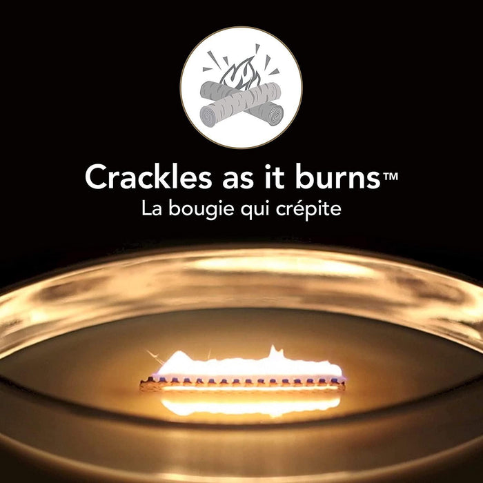 WoodWick Cinnamon Chai Ellipse Scented Candle (453g)