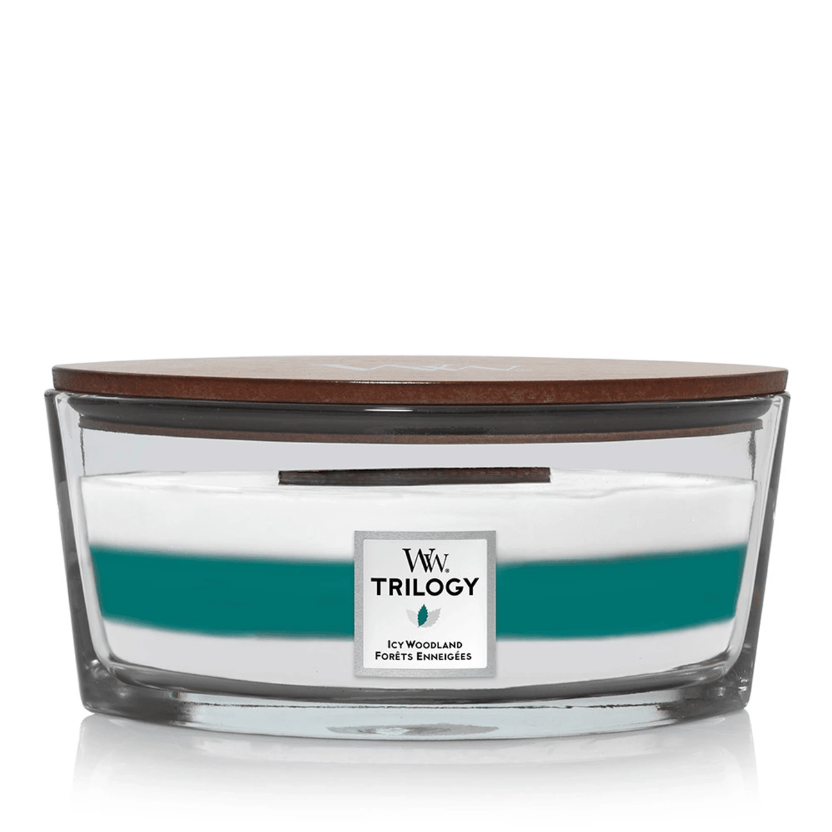 WoodWick Icy Woodland Trilogy Ellipse Candle (453g) Candles Buy