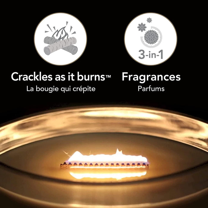 WoodWick Warm Woods Trilogy Ellipse Scented Candle (453g)