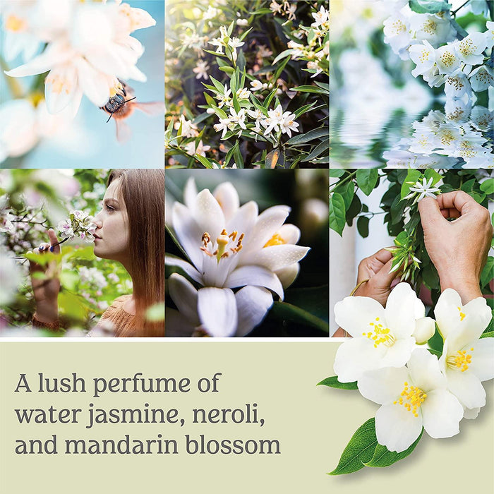 Yankee Candle Large Jar Midnight Jasmine Candles & Diffusers Buy