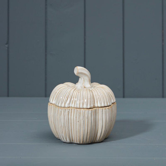 The Satchville Gift Co. - Ceramic Pumpkin Pot with Lid (12.5cm) | {{ collection.title }}