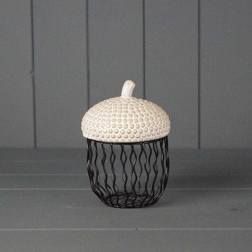 The Satchville Gift Co. - Wired Acorn Pot (15.5cm) | {{ collection.title }}